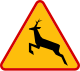 dzikie zwierzęta